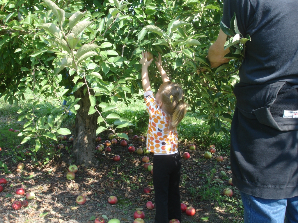 09-28-08 Apple Picking