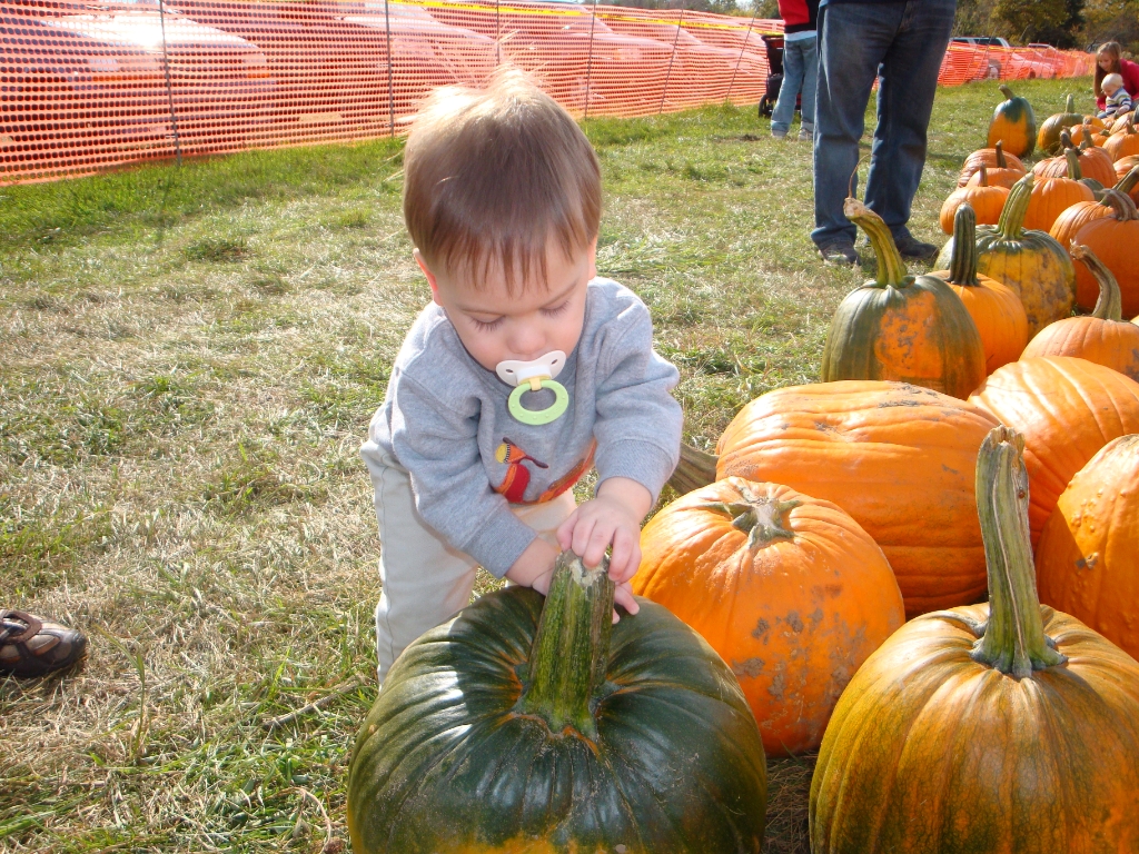 10-17-10 Pumpkin Pickin