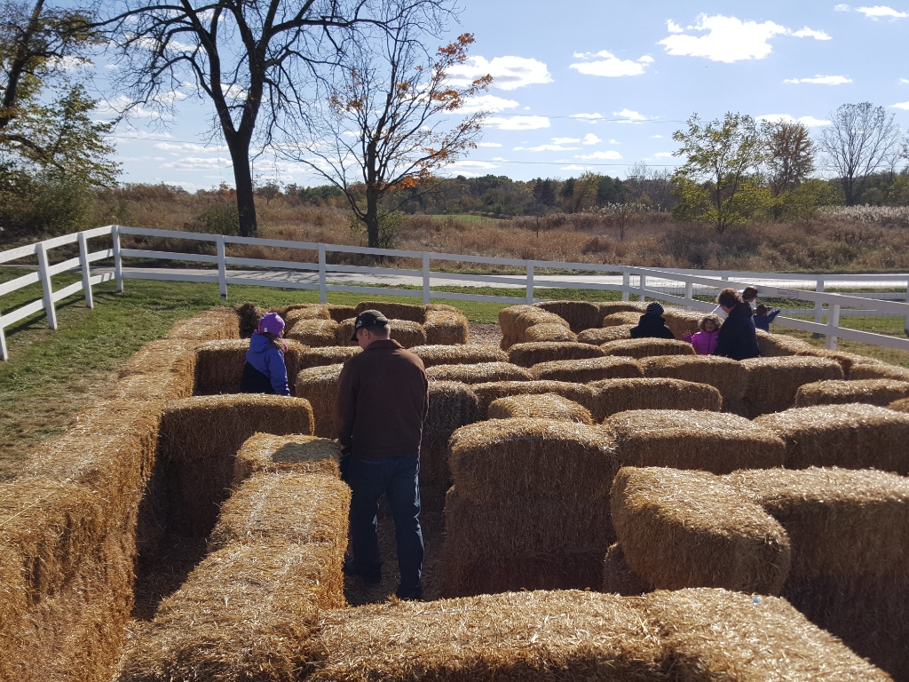 10-18-15 Pumpkin Picking